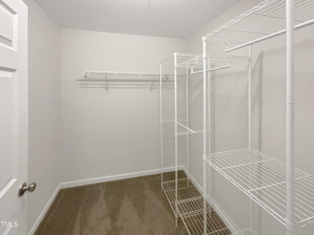 320 Gilman Ln Unit 110, Raleigh, NC 27610 - photo 13