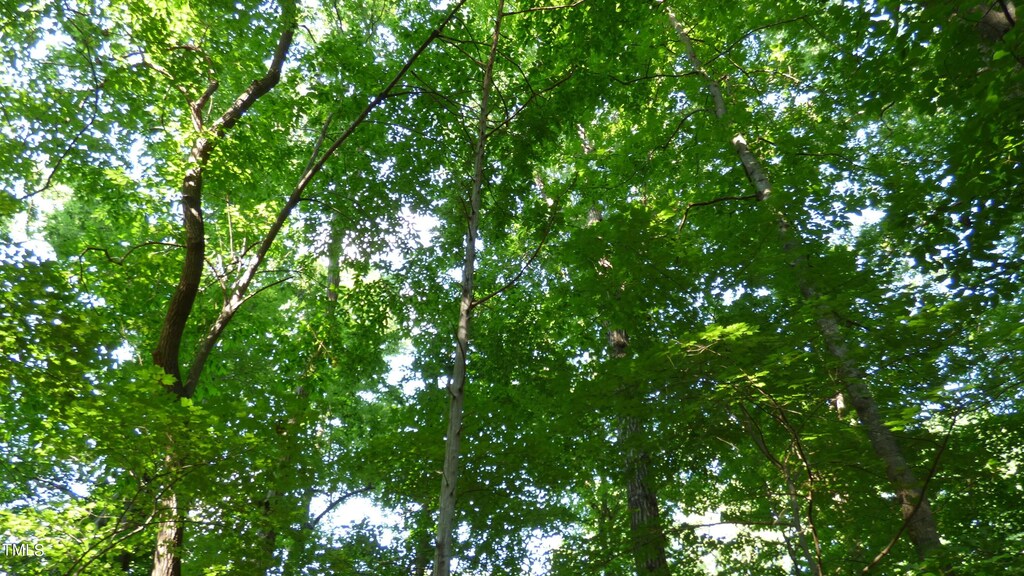 LOT54 Forest Dr, Graham, NC 27253 - photo 1