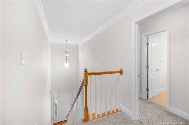 stairway featuring carpet and crown molding