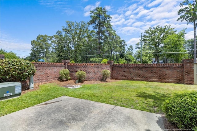 view of yard featuring a patio