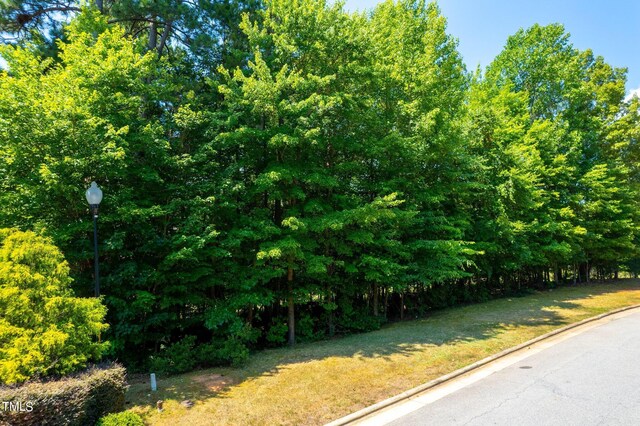 Listing photo 3 for 108 Eden Glen Dr, Holly Springs NC 27540