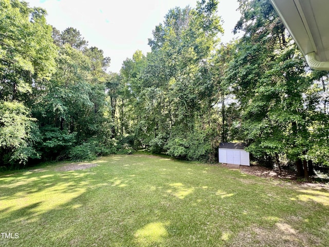 view of yard with a shed