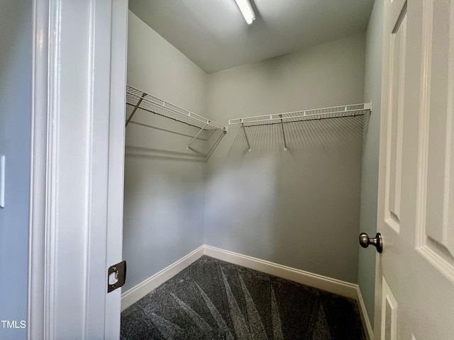 spacious closet with carpet flooring