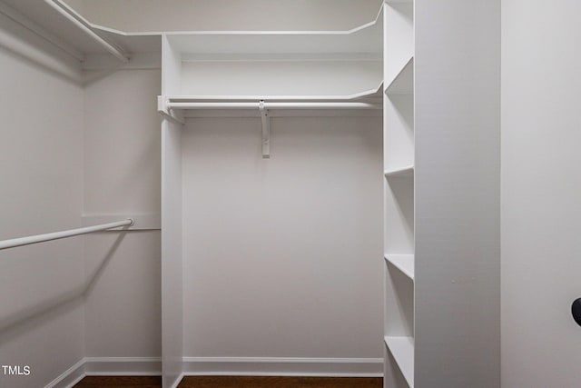 view of walk in closet