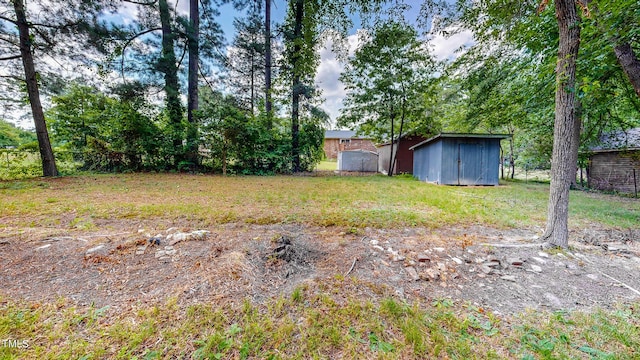 view of yard featuring a storage shed