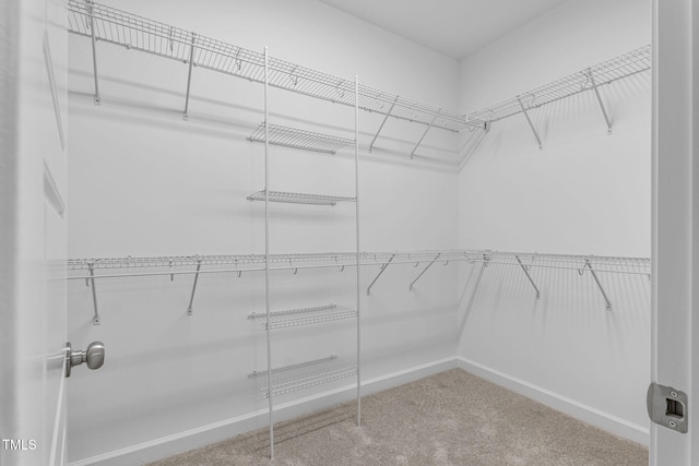 3097 Banks School Rd, Kinston, NC 28504 - spacious closet with carpet
