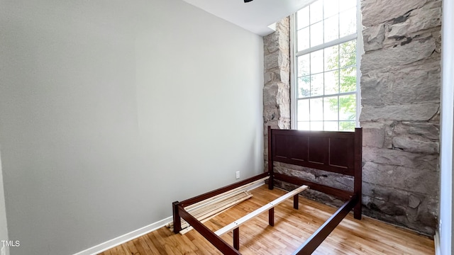bedroom featuring multiple windows and light hardwood / wood-style floors