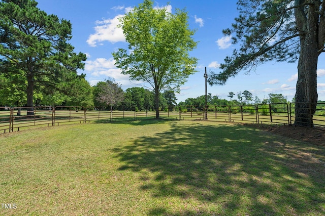 view of yard featuring a rural view