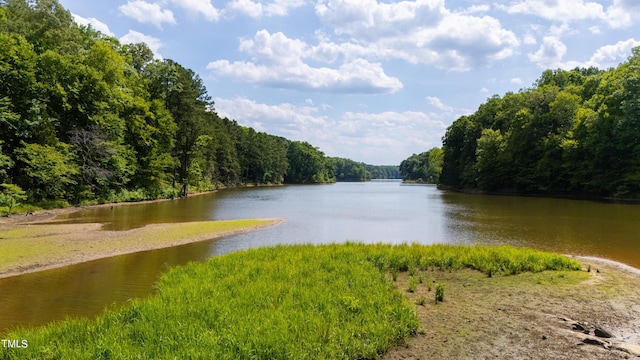 1820 Oatlands Ct, Wake Forest, NC 27587 - water view featuring a forest