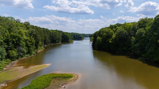 1820 Oatlands Ct, Wake Forest, NC 27587 - water view with a forest