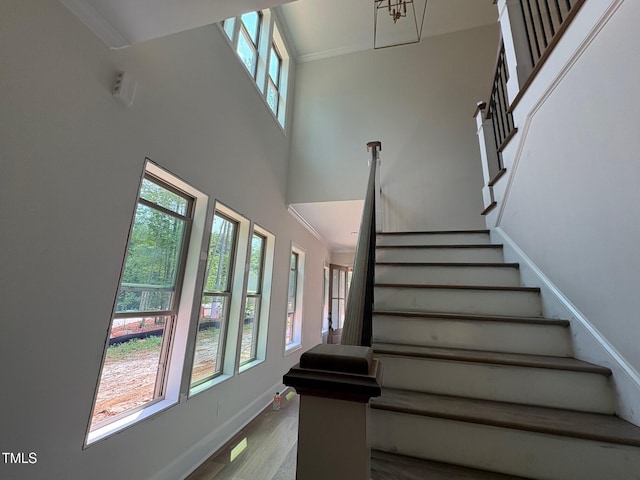 162 Gaines Trl, Pittsboro, NC 27312 - photo 7