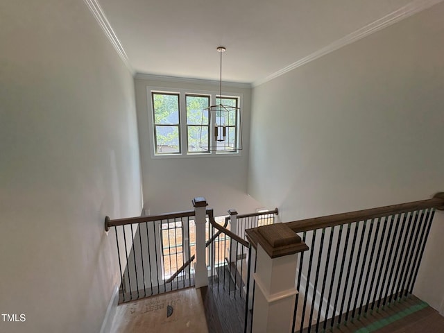 162 Gaines Trl, Pittsboro, NC 27312 - photo 66