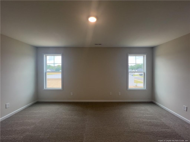 empty room featuring carpet and a wealth of natural light