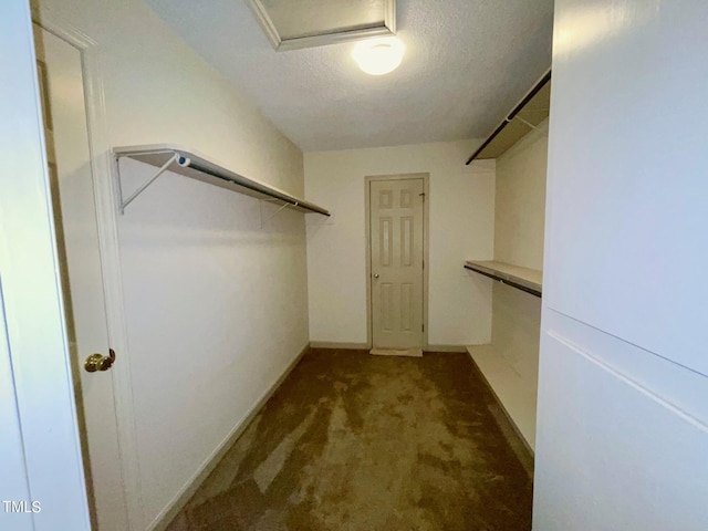 walk in closet with dark colored carpet