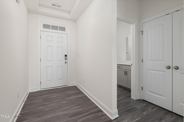 foyer featuring a raised ceiling and dark wood-type flooring