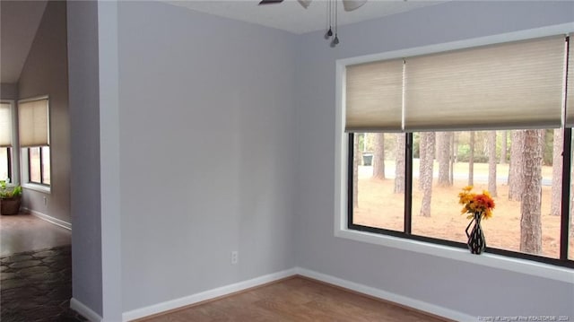 spare room featuring plenty of natural light, ceiling fan, and wood-type flooring