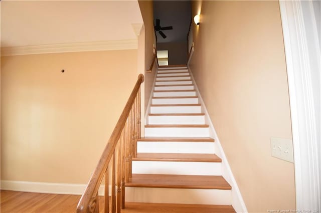 stairs with ceiling fan and crown molding