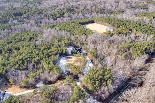 bird's eye view