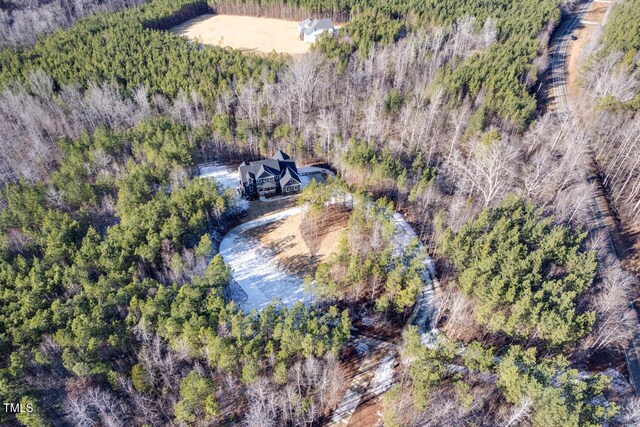 drone / aerial view