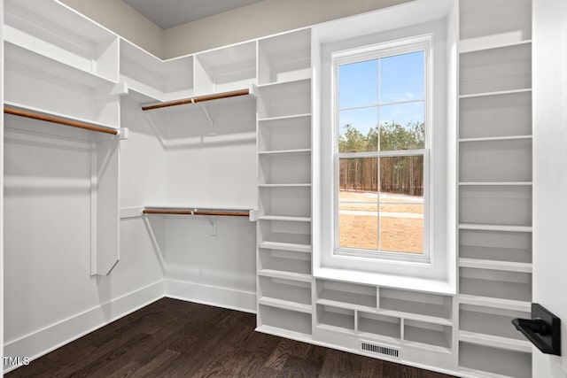 spacious closet with dark hardwood / wood-style floors