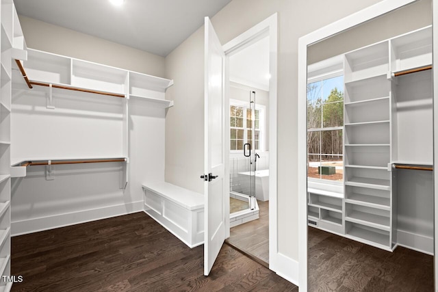spacious closet featuring dark hardwood / wood-style flooring