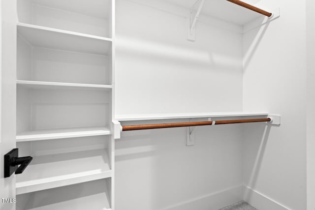 view of spacious closet