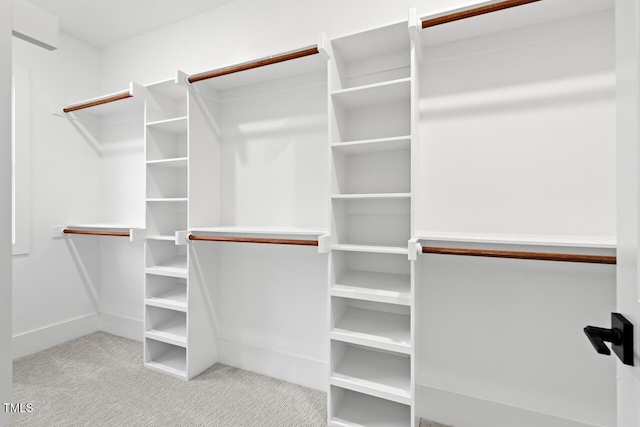 spacious closet with light carpet