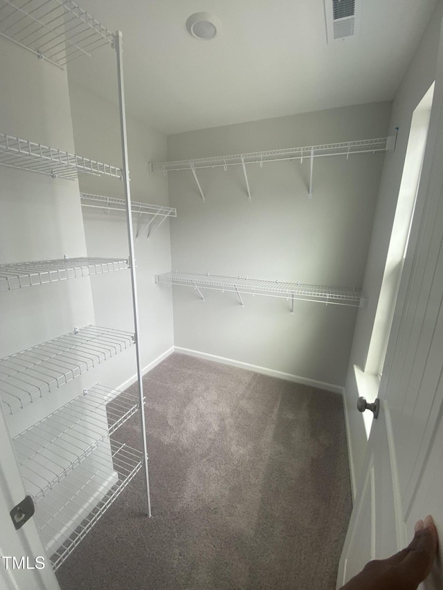 walk in closet with carpet and visible vents