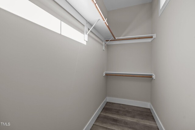 spacious closet featuring dark hardwood / wood-style flooring