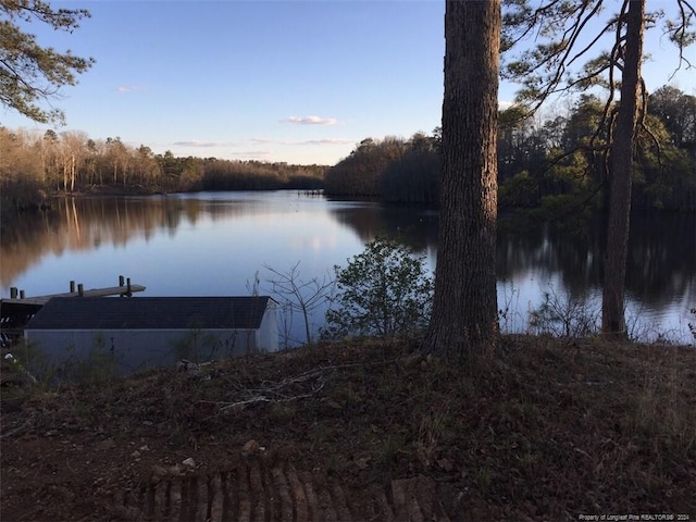 property view of water featuring a dock