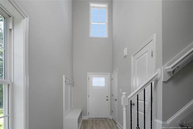 entrance foyer with a wealth of natural light and light hardwood / wood-style flooring