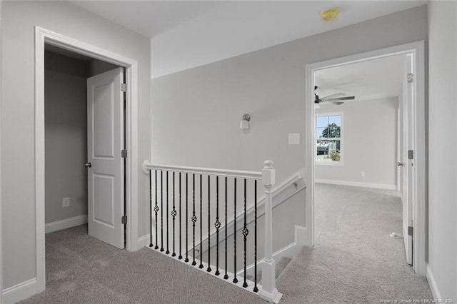 hallway featuring carpet floors