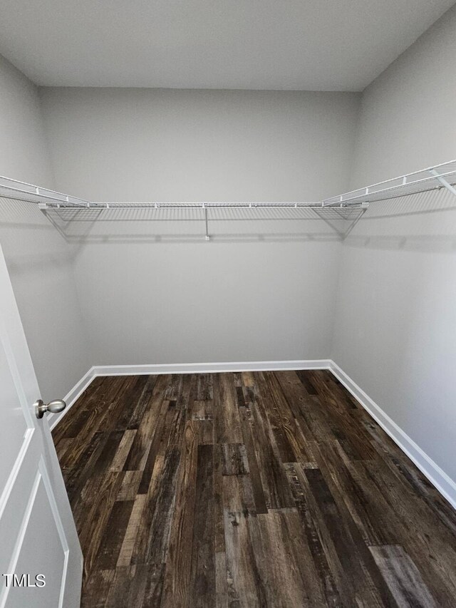 spacious closet with hardwood / wood-style floors