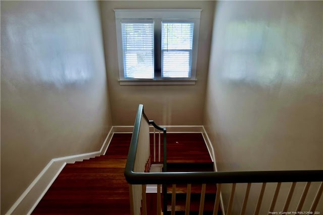 stairs featuring wood-type flooring