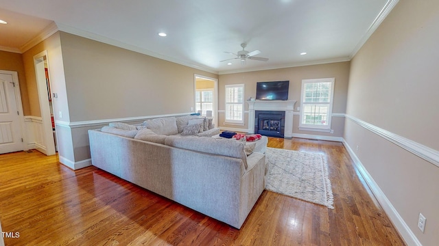 living room featuring crown molding, ceiling fan, and hardwood / wood-style flooring