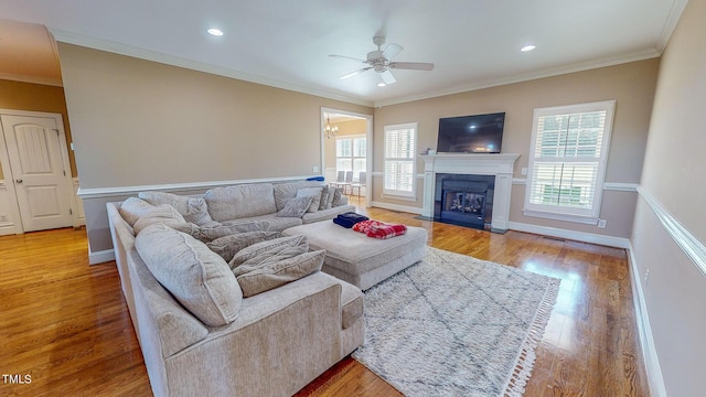 living room featuring light hardwood / wood-style floors, ceiling fan, and ornamental molding