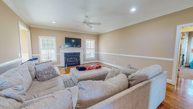 living room with wood-type flooring, ceiling fan, and crown molding