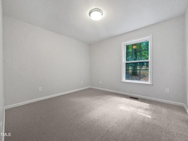 unfurnished room with carpet flooring and a textured ceiling