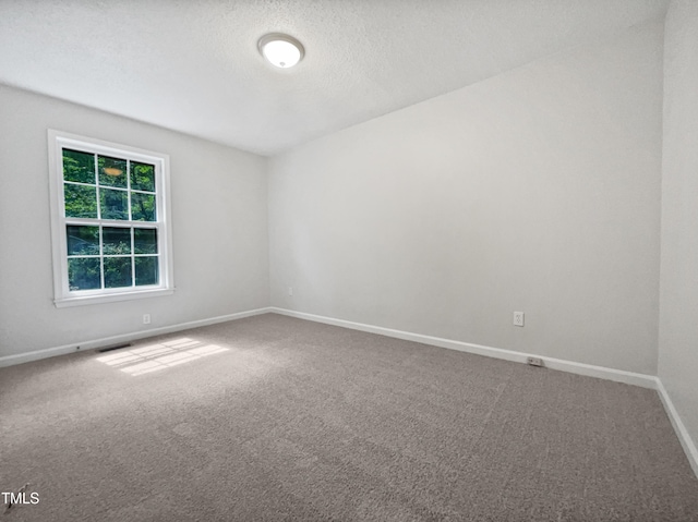 empty room featuring carpet floors and a textured ceiling