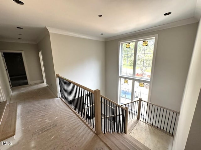 708 Catawba St, Raleigh, NC 27609 - photo 13