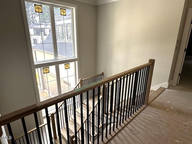 708 Catawba St, Raleigh, NC 27609 - photo 14