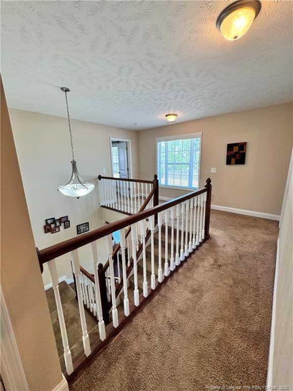 stairs featuring carpet floors and a textured ceiling