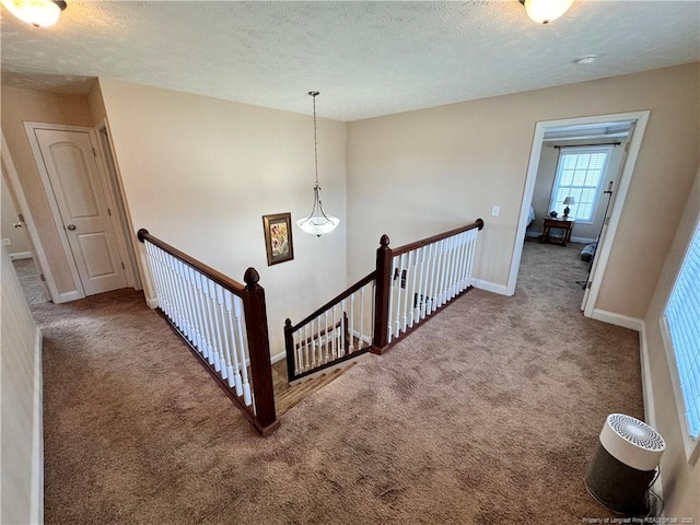 stairs featuring a textured ceiling and carpet flooring