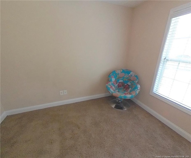 spare room with carpet floors and plenty of natural light