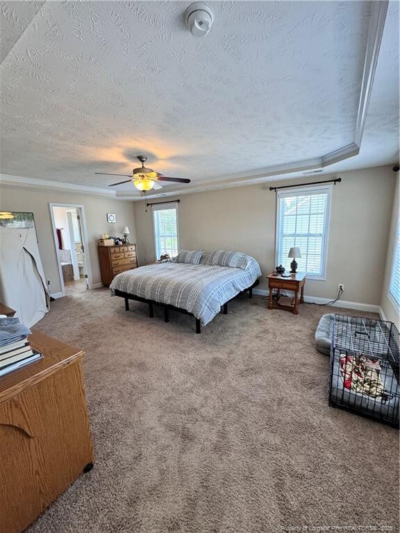 bedroom featuring a raised ceiling, carpet flooring, ceiling fan, and multiple windows