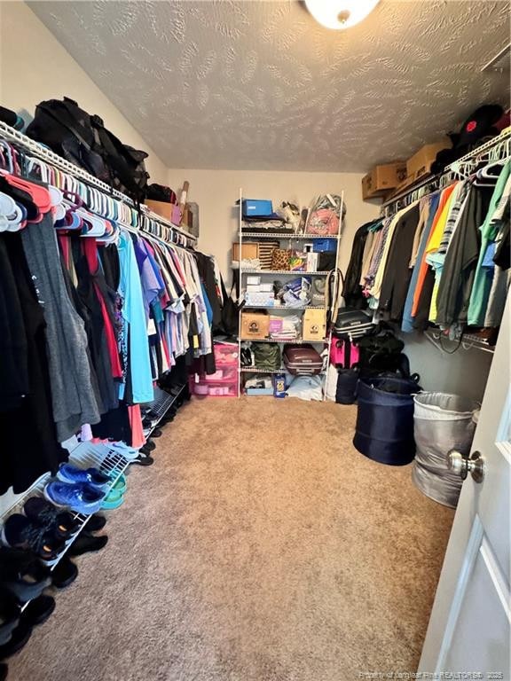 spacious closet with carpet flooring