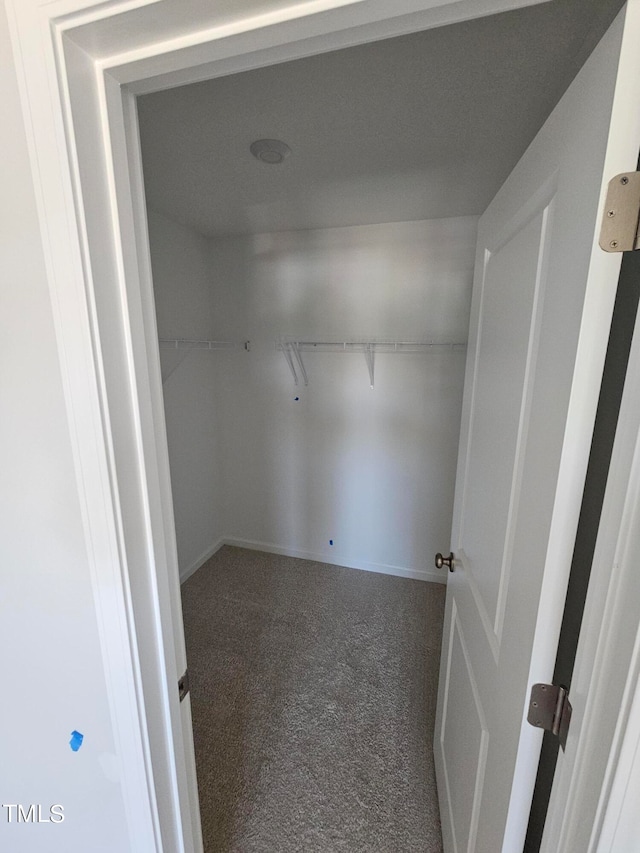 spacious closet with carpet flooring