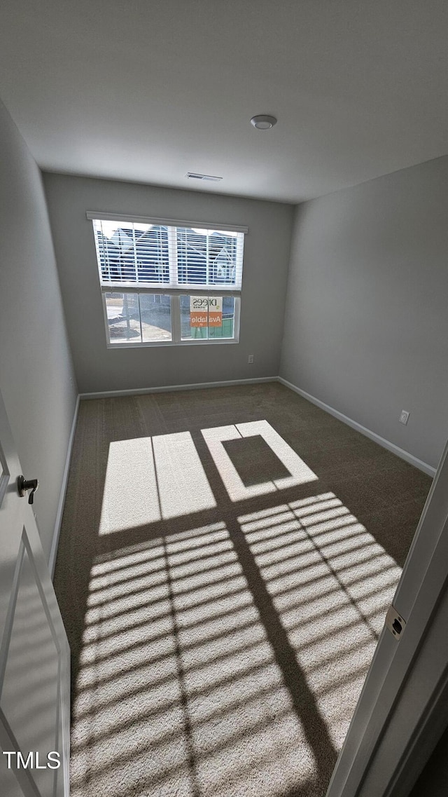 carpeted empty room featuring a wealth of natural light