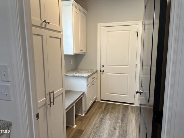 mudroom featuring dark wood-type flooring