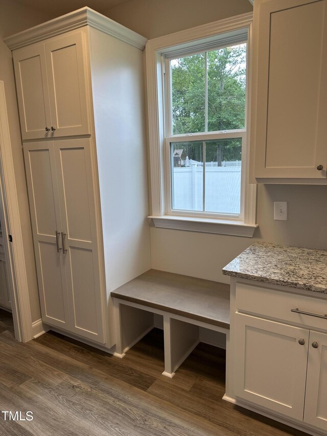 mudroom with dark hardwood / wood-style floors